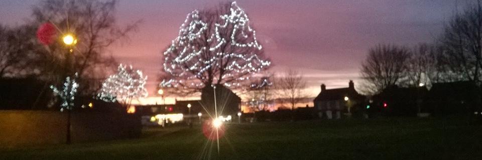 Shirley_Labour's profile banner image