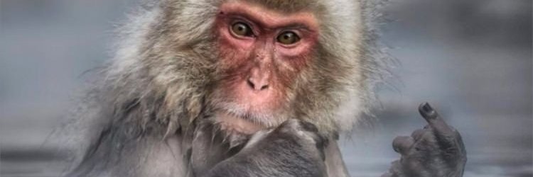 GneElibol's profile banner image