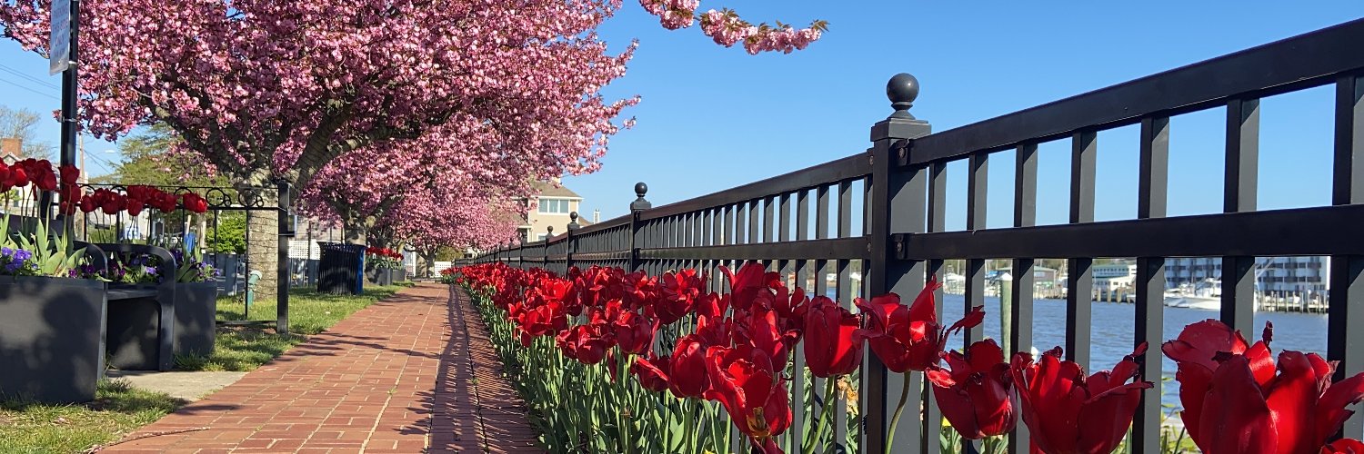 Visit Delaware banner