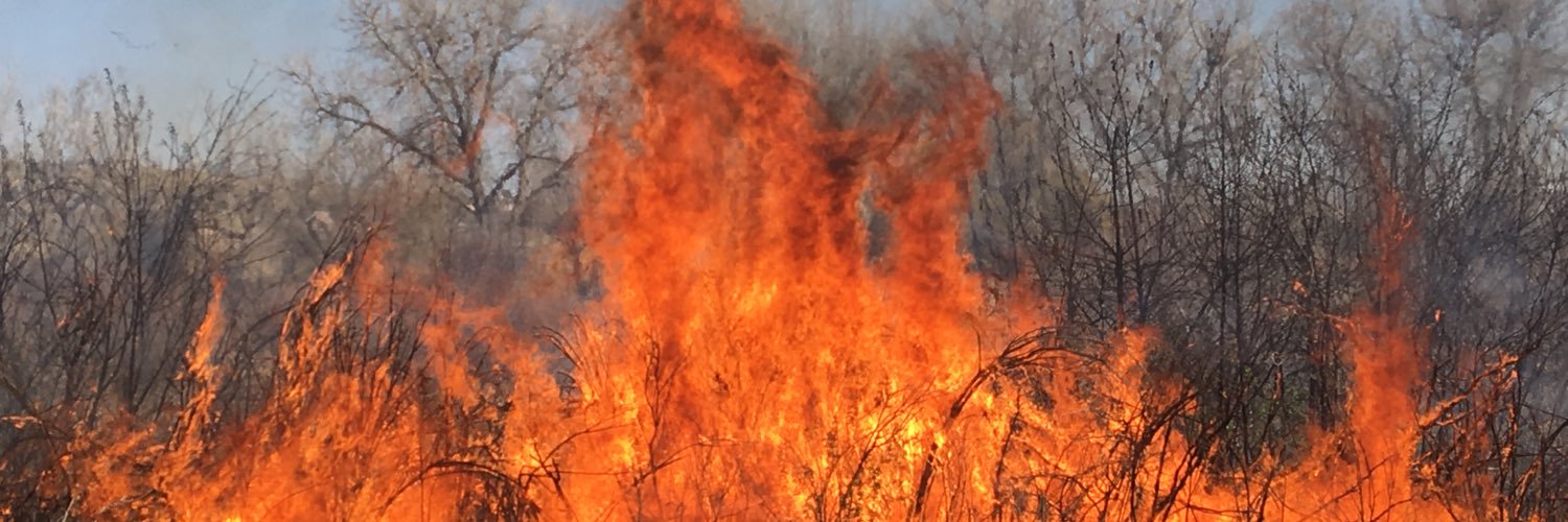 FireLifeSafety's profile banner image