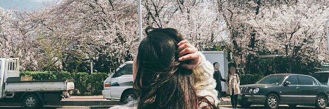 YolandaPutriP_'s profile banner image