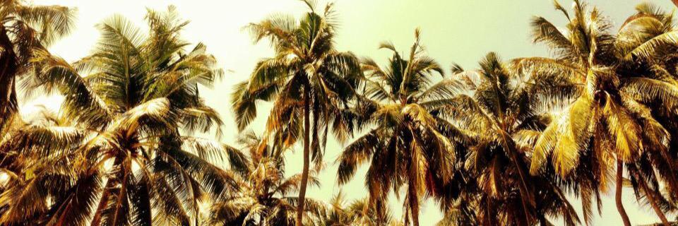 nittte's profile banner image