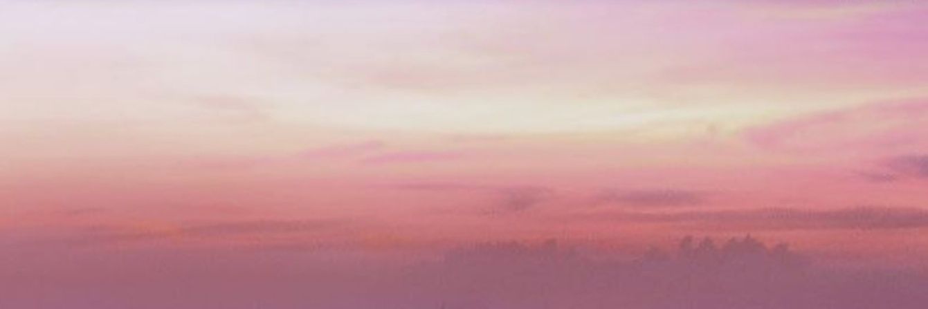 pinkey116_B's profile banner image