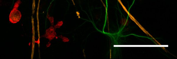 AaronGilmour85 Profile Banner