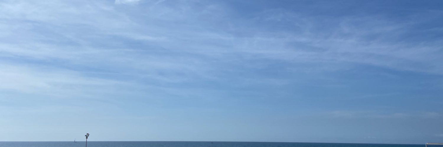 Eduard Domingo banner