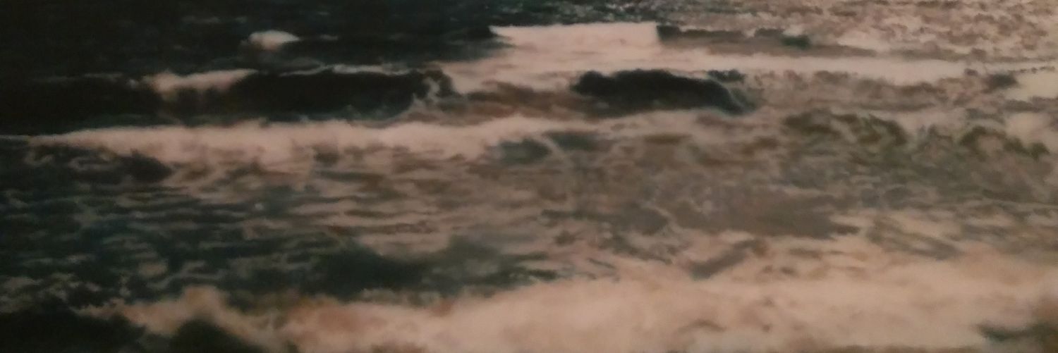 benseifert_'s profile banner image