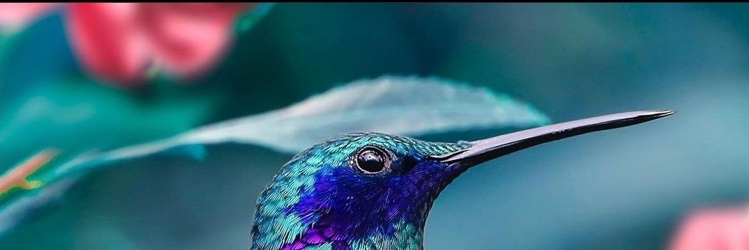 Jaelsr_'s profile banner image