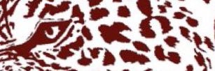 dratacy_'s profile banner image