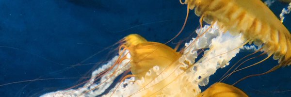 kbys_02 Profile Banner