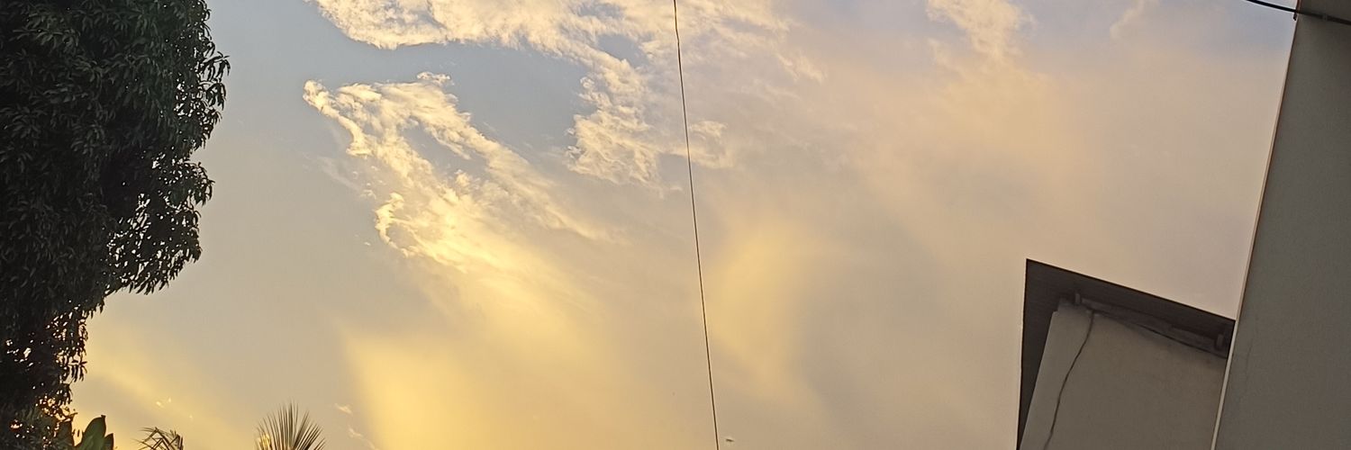 adirflai's profile banner image