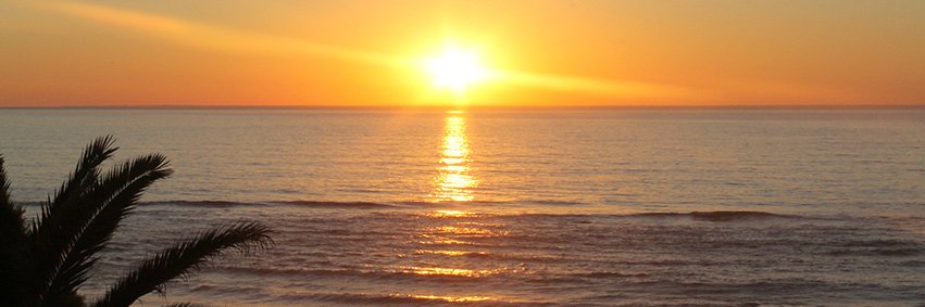 LeBlueCargo's profile banner image