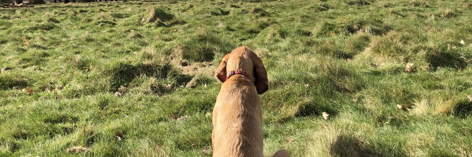 Nigel Gilbert banner