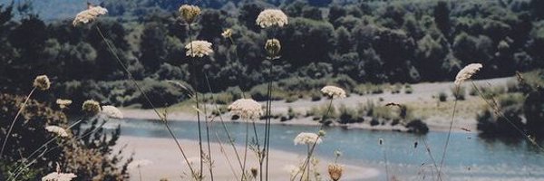 iTzi29920728 Profile Banner