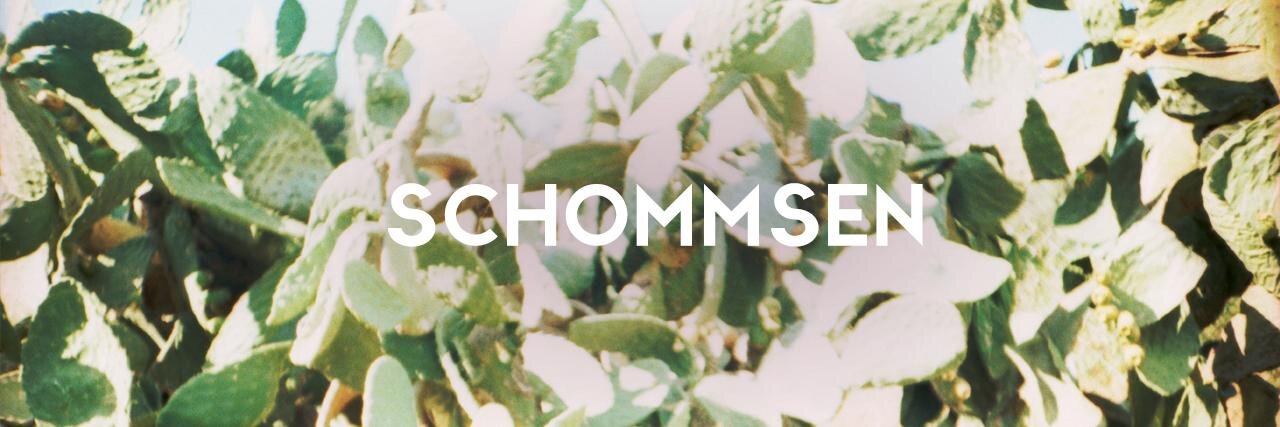 schommsen's profile banner image