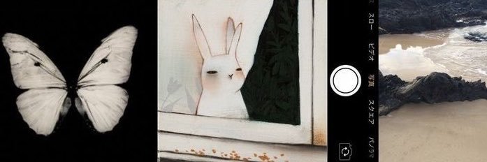 roaseann's profile banner image