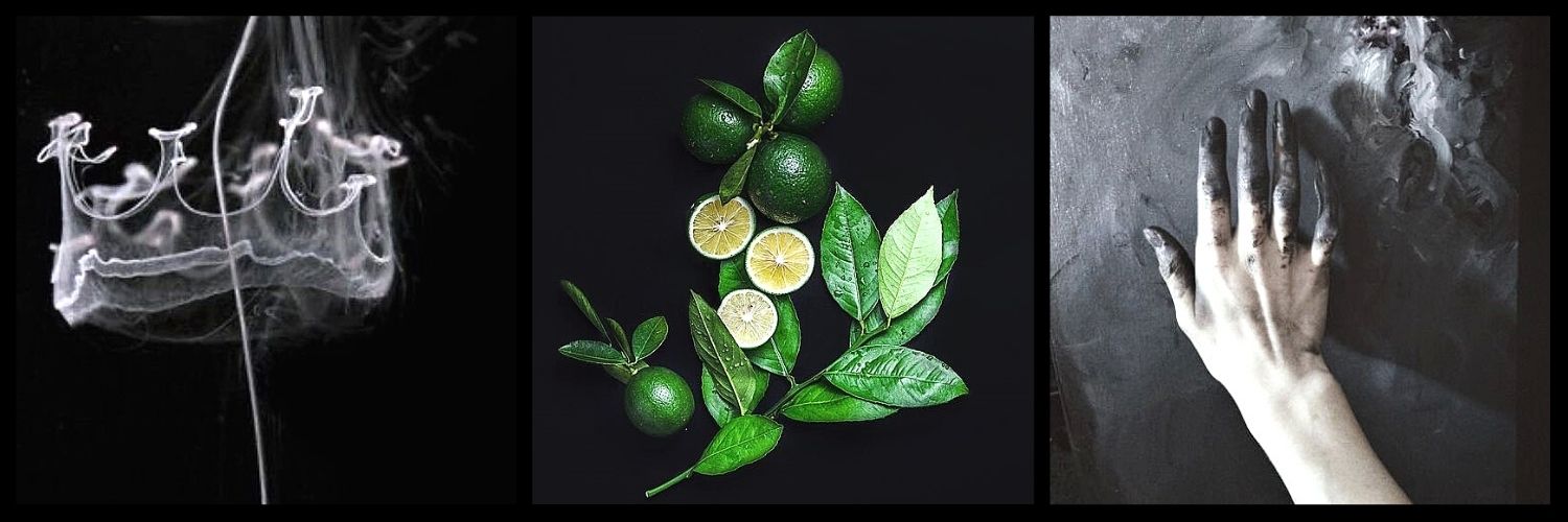 EmilyCadwalader's profile banner image