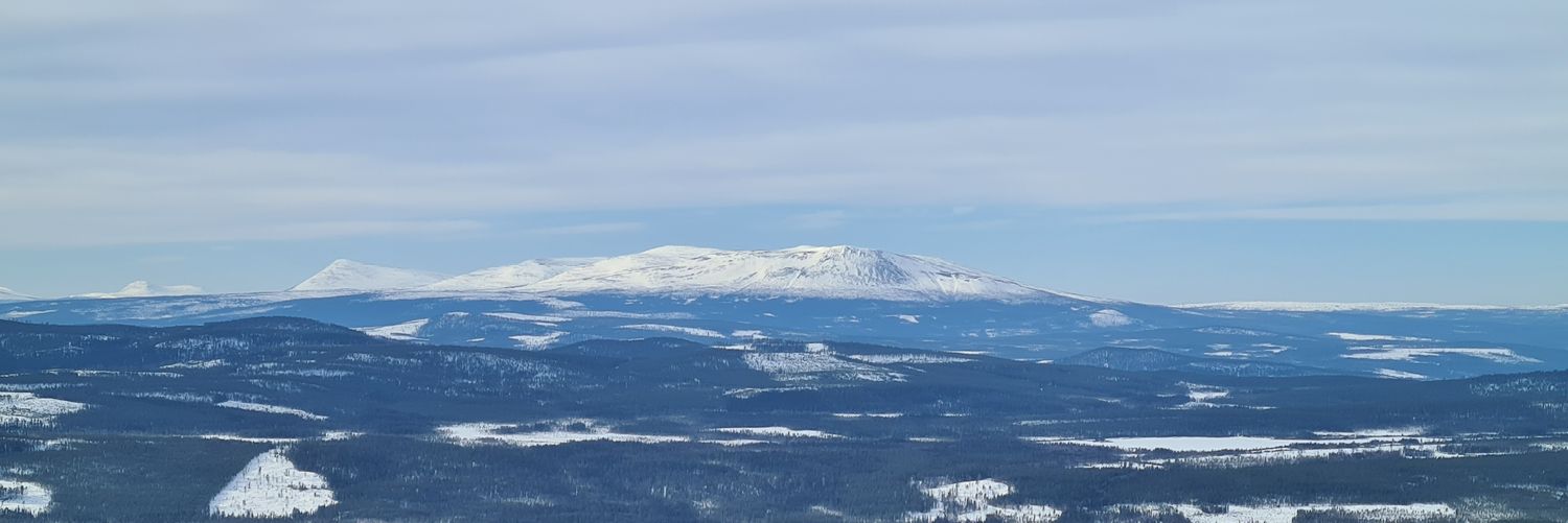 Tillsammans mot konken banner
