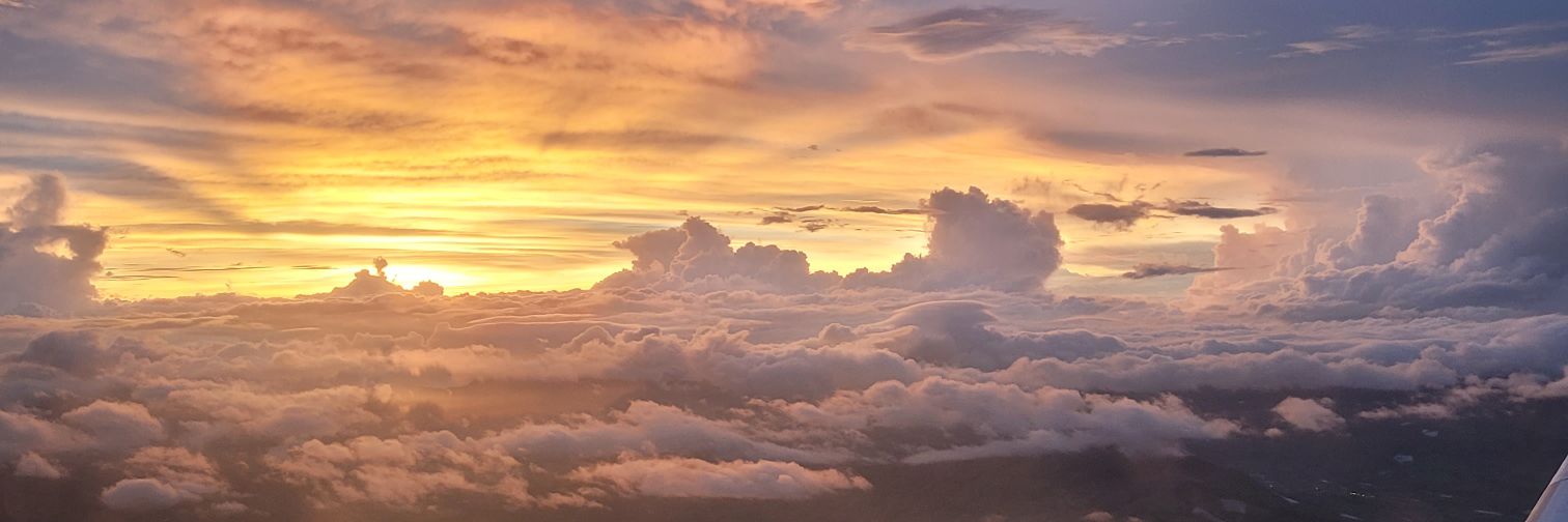 pau_rod's profile banner image