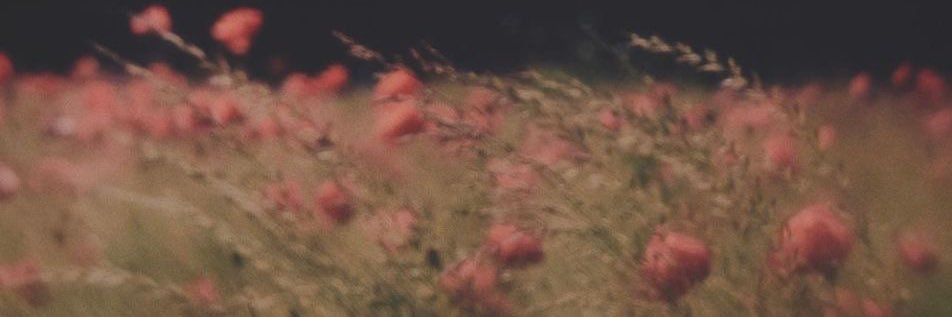 itsssandra's profile banner image