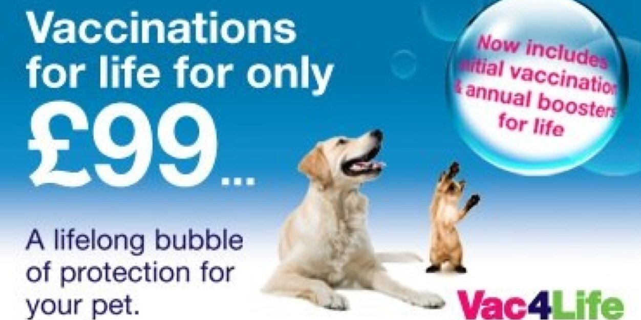 DudleyVets4Pets's profile banner image