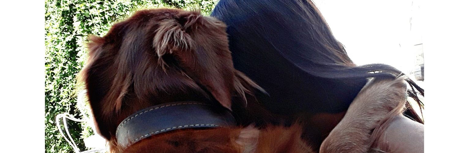 jaelr_'s profile banner image