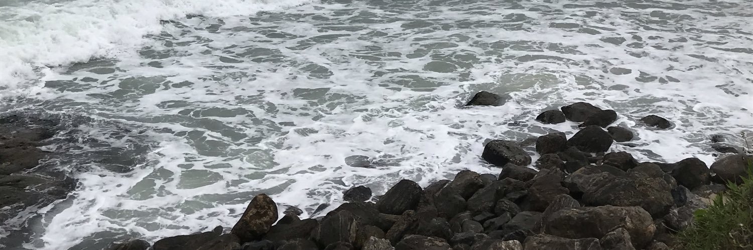 TheDolphins's profile banner image