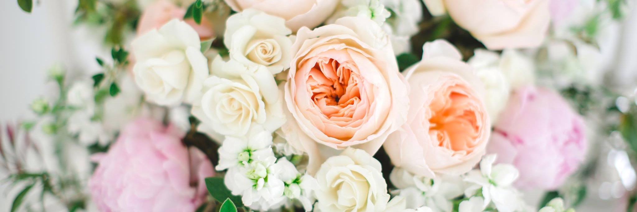 lifeinbloomchi's profile banner image