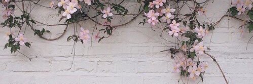 winrawarin's profile banner image