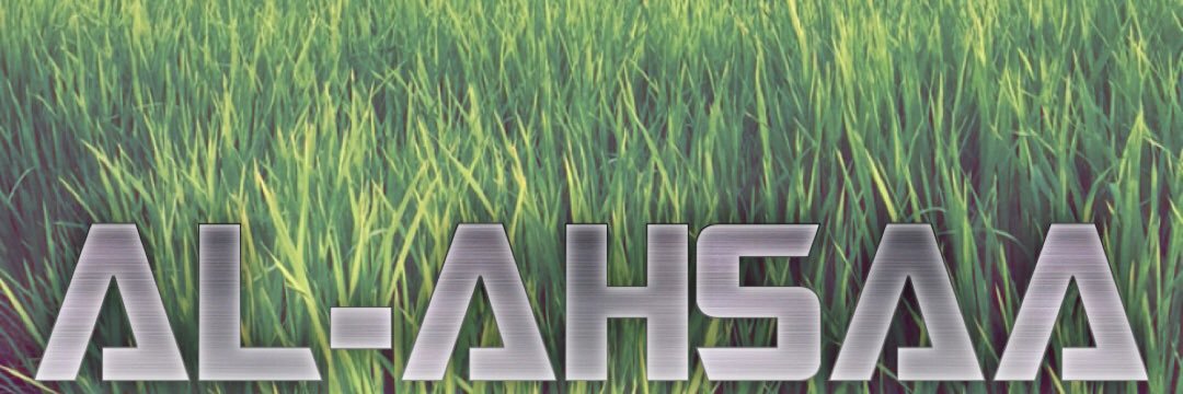 saud769's profile banner image