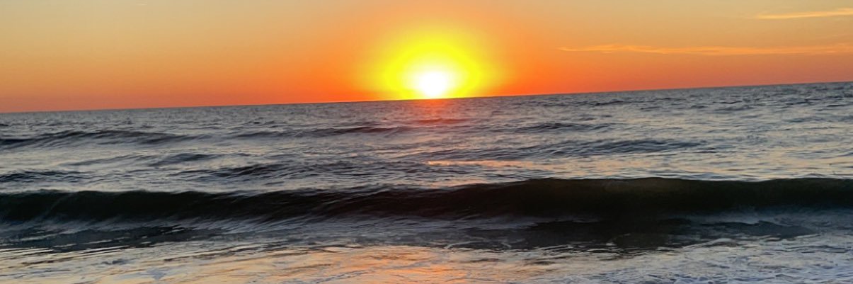 sydney_brown7's profile banner image