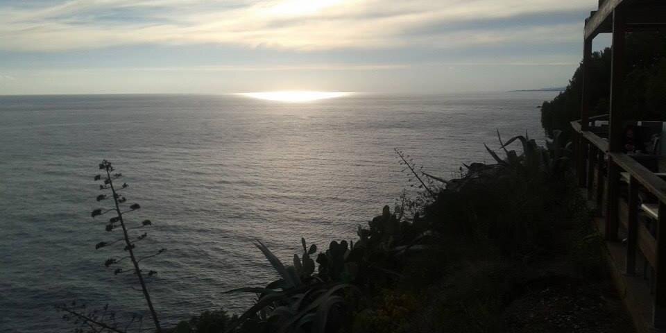 Carlotta Cattaneo banner