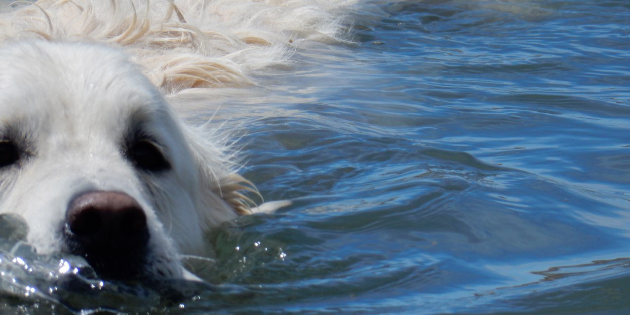 Ben 🌈 banner