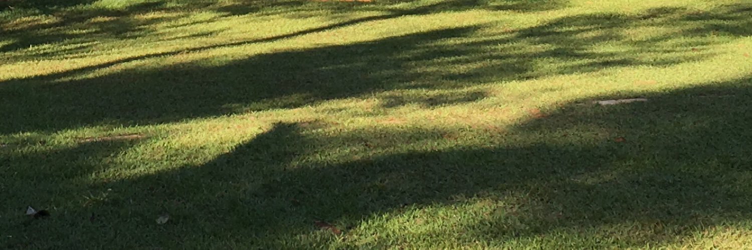 ScscofieldPaulo's profile banner image