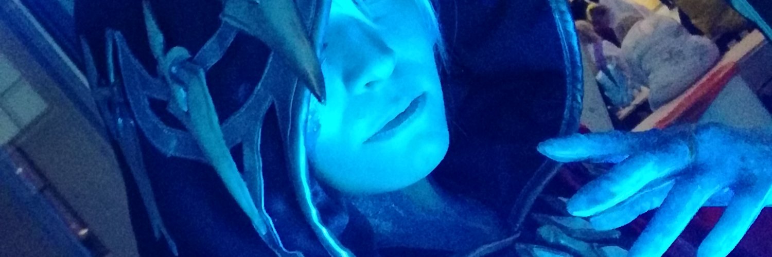 taollon's profile banner image