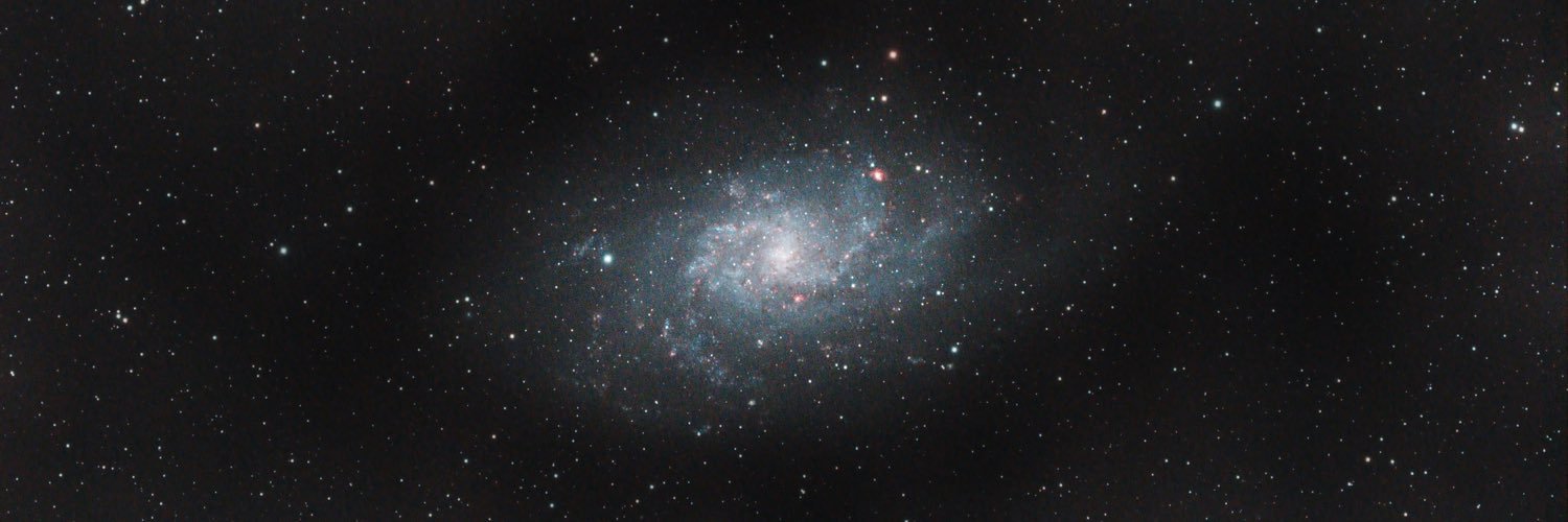 Mutawa.eth (♢,♢)🦇🔊🐼 banner