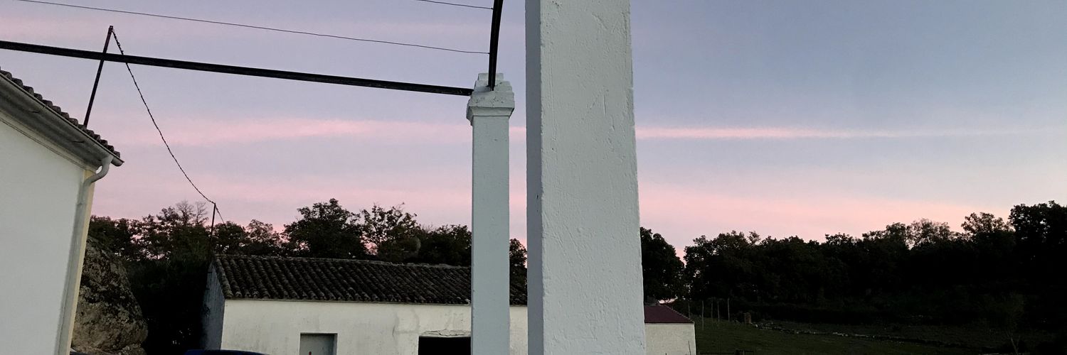 Marta_JMarco's profile banner image