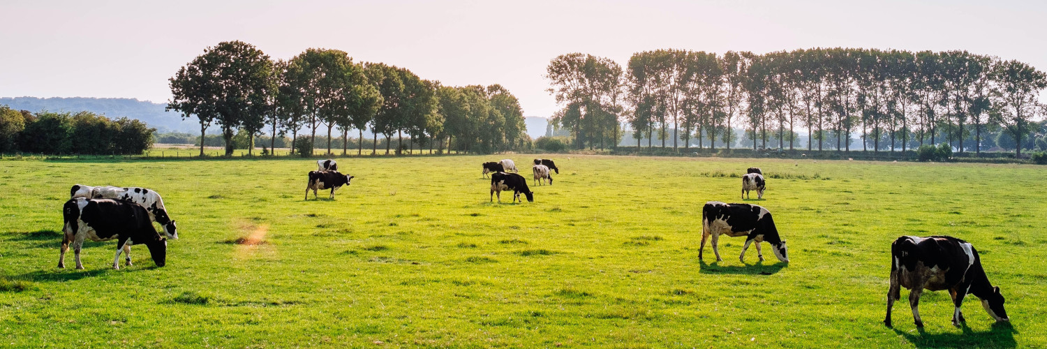 WattedoeninNL's profile banner image