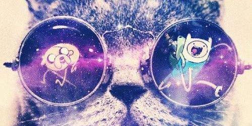 lyz3112's profile banner image