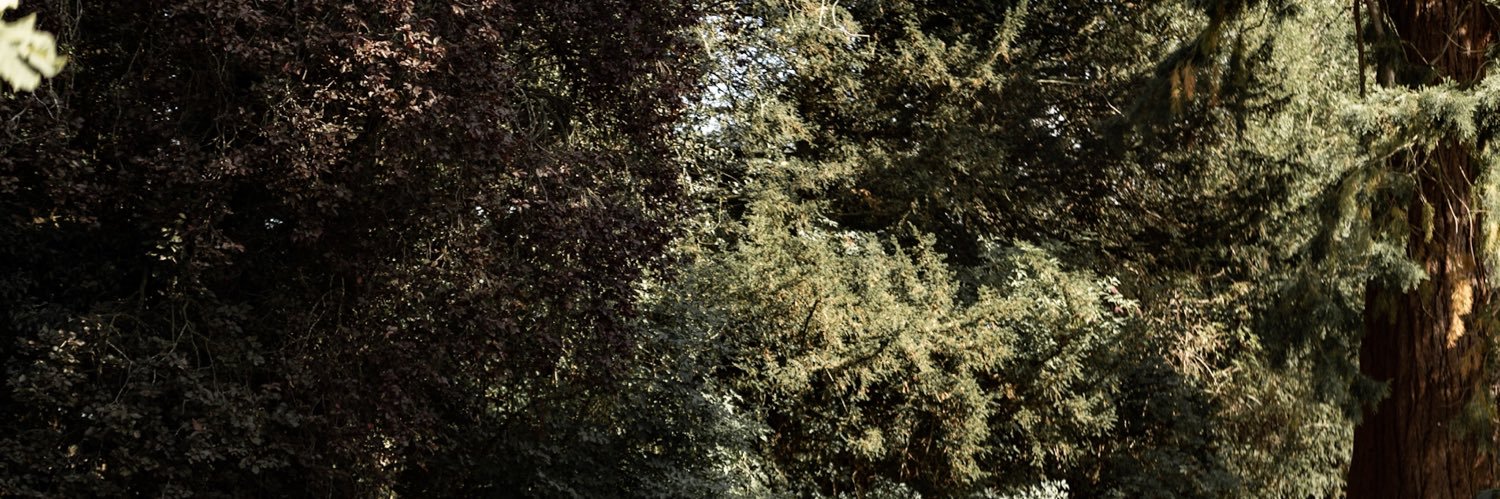 lozd10's profile banner image