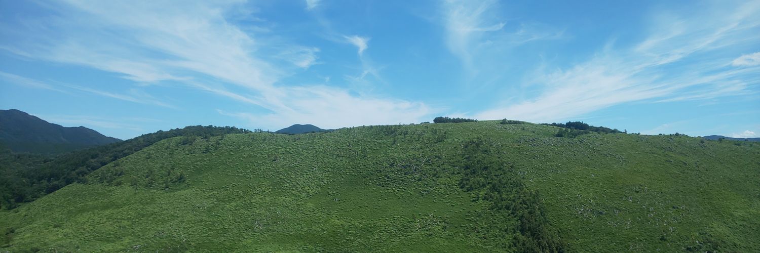 IkemoLeaf's profile banner image