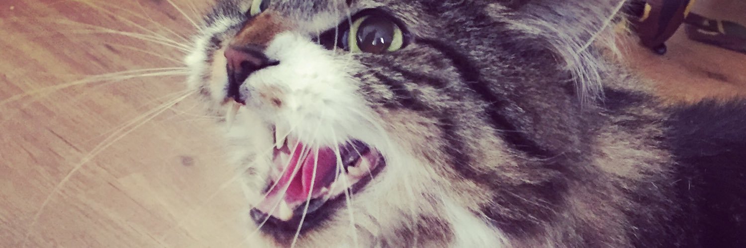 ROseFraiZ's profile banner image