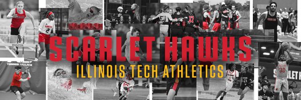 Illinois Tech Athletics Profile Banner