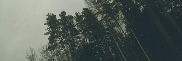 lily_bingham's profile banner image