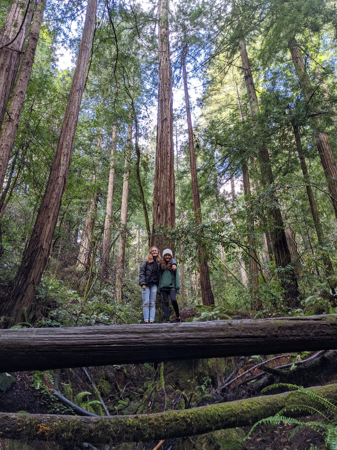 speroman ☮️ banner