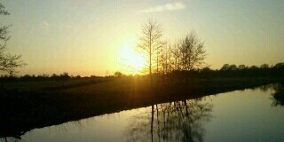 Rowanvdheide's profile banner image