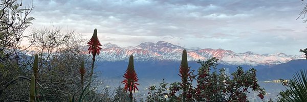 gonzalowinter Profile Banner