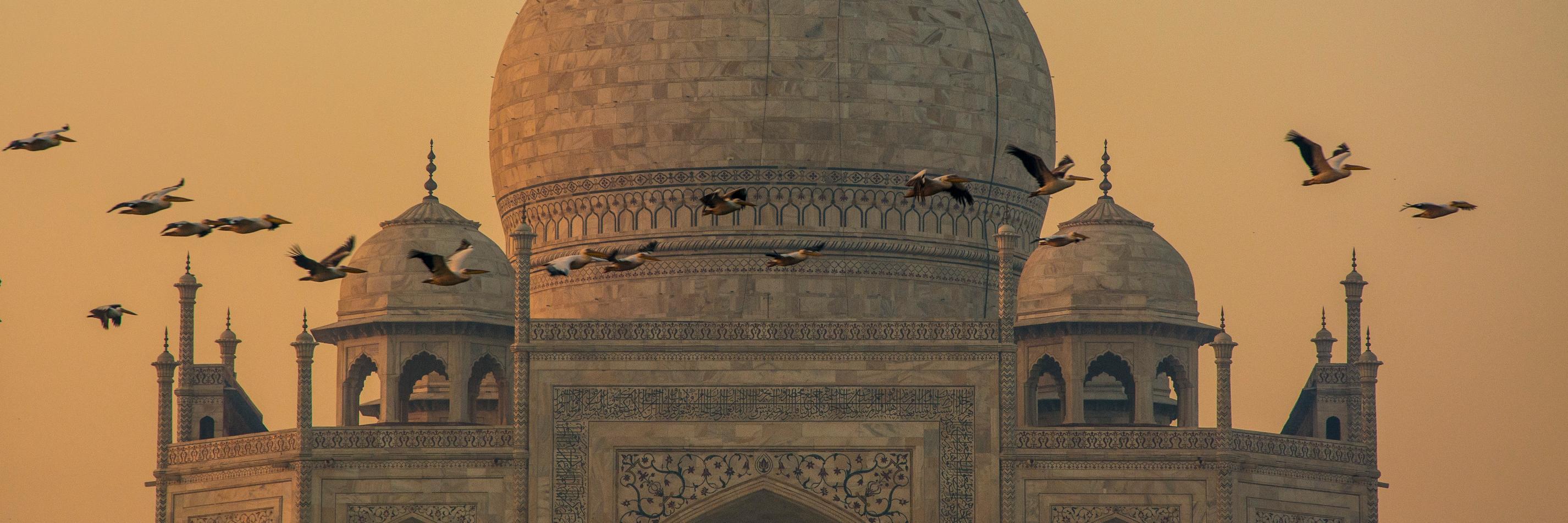 Mehdi_Bou88's profile banner image