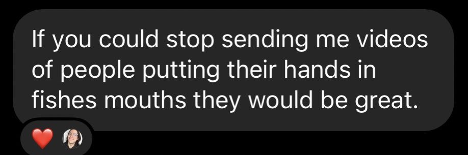 Bonnaventure James banner