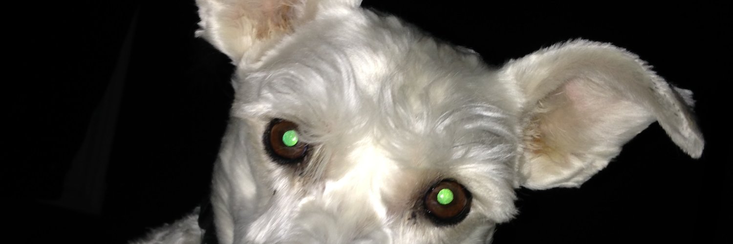Kagee53's profile banner image