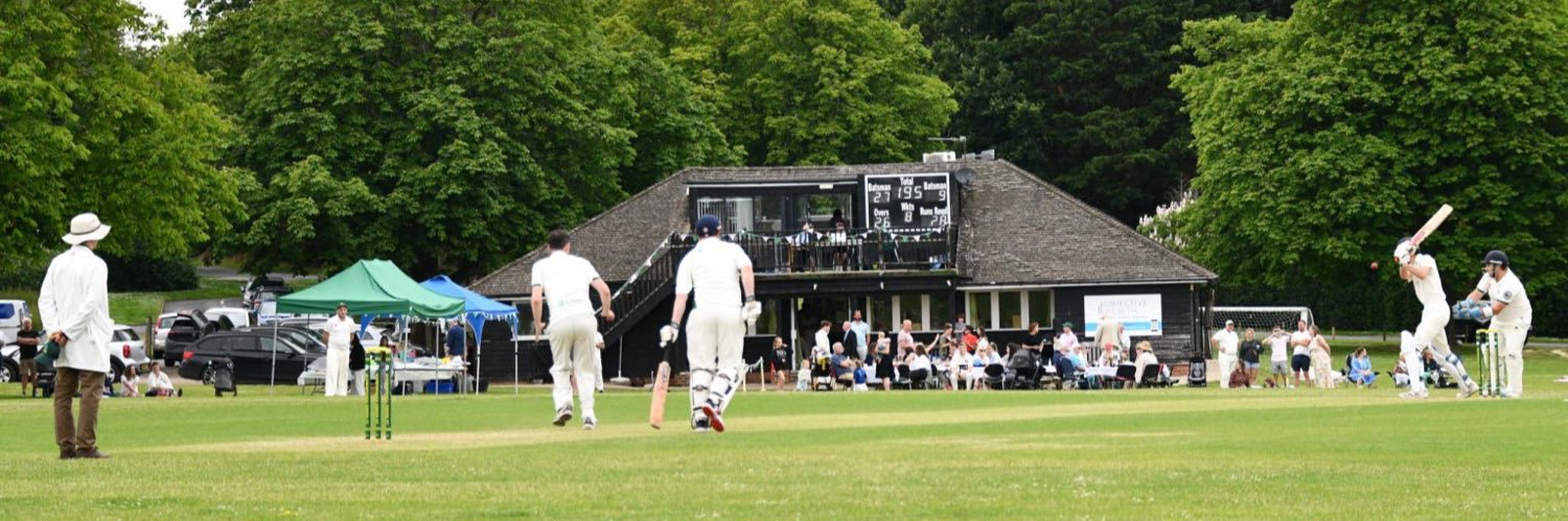 Wisborough Green CC banner